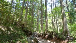 結構急だけどなんとか行けます