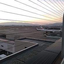 夕暮れ時でしたが、絵になりました。