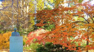 胸像と黄葉紅葉の木々のハーモニーが！