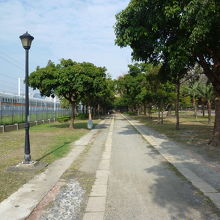 台鉄に沿って続く公園から抜けて植物園へ