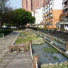 水生植物区