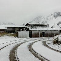 夜、雪が降りました