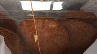めし勇コロッケ、揚げたて最高！