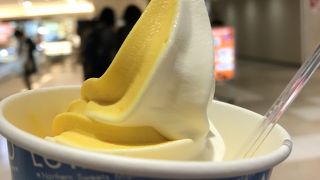 駆け込みソフトクリームっ！