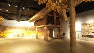 長野県の歴史が一目でわかる博物館