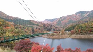 紅葉が綺麗でした。