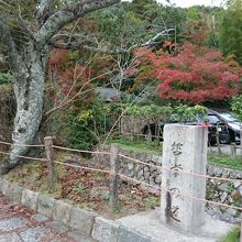 お散歩しましょう