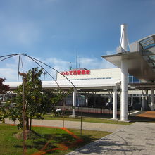 実る林檎を誰も採らないとはね？…