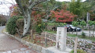 川沿いの小道をお散歩