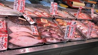 角上魚類 川口店