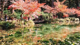 透明度が高い池