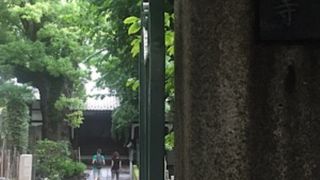 クスノキがあるお寺