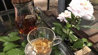 こうちゃおいしい