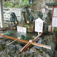 手水舎にはかえるが