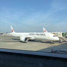 飛行機