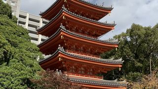 木造座像で日本最大の大仏があります