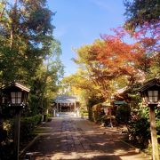 そろそろ紅葉が綺麗になりそう