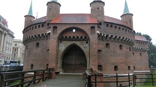 現存する中では最大