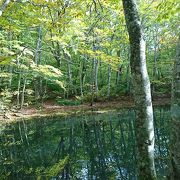 蔦沼のまわりの道もいい雰囲気です