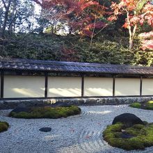 枯山水の庭を望む