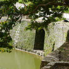 側面から見るとアーチ型が見えます