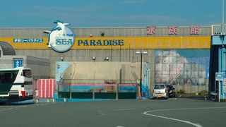 動物にふれあえる水族館ですが．．．。