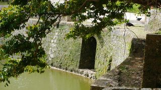 鳥に囲まれた小さな橋