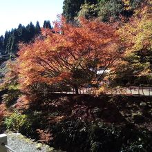 紅葉見頃でした By ぴゅりてぃ ぷりんしゅ 冠嶽園のクチコミ フォートラベル 紅葉見頃でした By ぴゅりてぃ ぷりんしゅ 冠嶽園のクチコミ フォートラベル