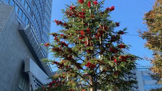 昼間の方がインパクトを感じました