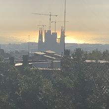 遠くにサグラダファミリアが