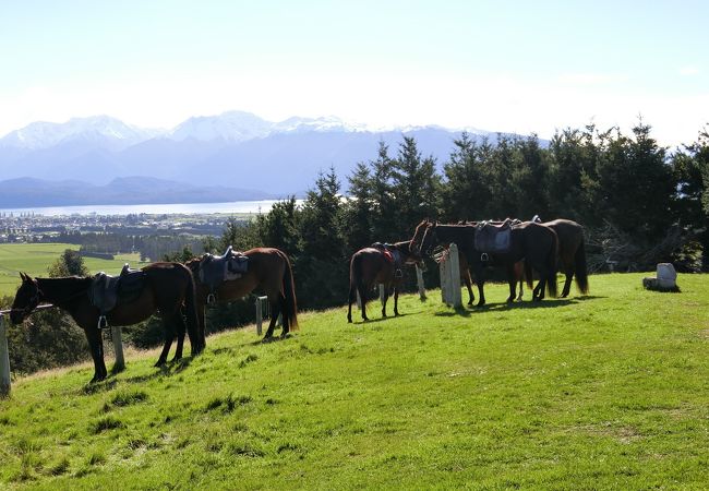 Westray Horse Treks