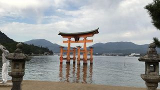 近くでみると迫力がありました