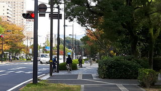 高い木々が目印