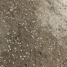 地面にお金が沢山落ちていて、踏みつけてしまうのが、嫌でした。