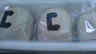 早速かまどをいただきました。