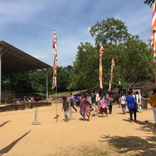 この辺りから靴を脱ぐ