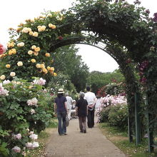 遊歩道を巡ります