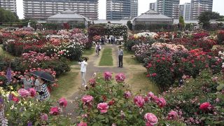街の中のローズガーデン　広さも手頃