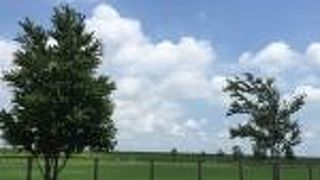 良い芝のグラウンドがあります