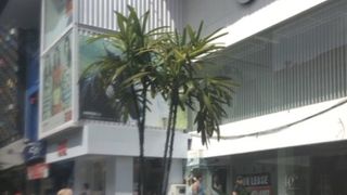 クタで買い物するならココ。