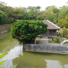 中島のある池です