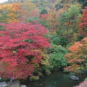 紅葉を楽しみに