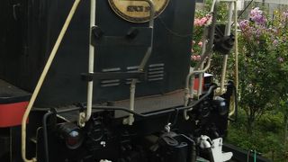 満員で景色見るのも大変