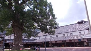 金毘羅さんの入口にあるよい無料の休憩処