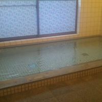 がまの湯温泉いいで旅館 写真