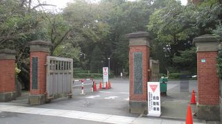 普通の大学の様でした。
