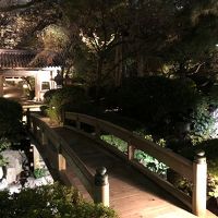 夜の日本庭園