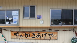 油井漁港併設の桜エビ売店！