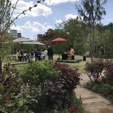 春先で広場では野点、琴の演奏が行われていました