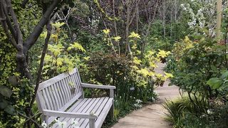 さほど広くはないですが、手入れが行き届いた小道の散策は楽しかった